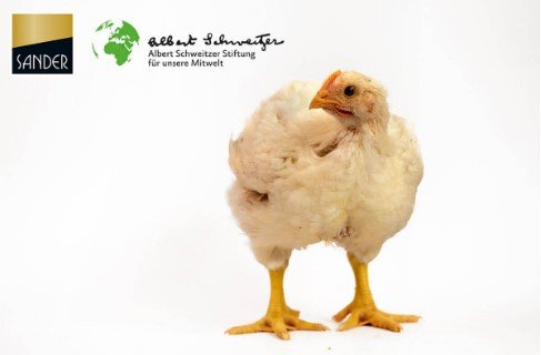 Europäische-Masthuhn-Initiative Europische-Masthuhn-Initiative